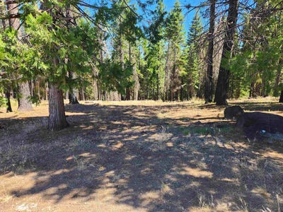 /international/us/135-goose-bay-view-trail-lot-19-lake-almanor-west-ca-110107004546/