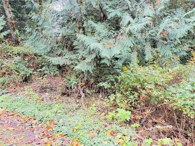 /international/us/1-west-alder-drive-sedro-woolley-wa-110103271447/