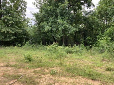 /international/us/o-orme-mountain-road-south-pittsburg-tn-110098137869/?lang=zh-tw