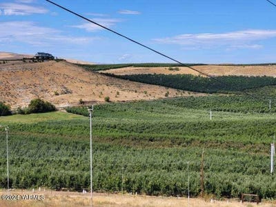 /international/us/4851-lombard-loop-rd-zillah-wa-110098305368/