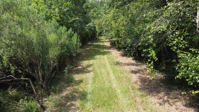 /international/us/rudd-rd-ridgeville-sc-110100971633/