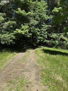 /international/us/89366-nelson-mountain-rd-walton-or-110108821958/