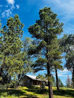 /international/us/2755-south-hwy-84-64-chama-nm-110093310810/