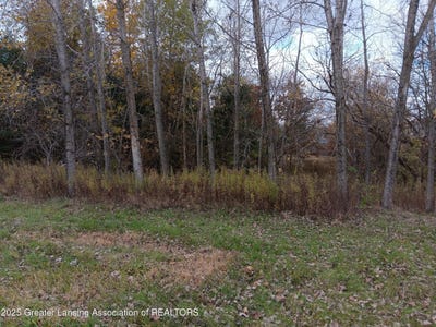 /international/us/603-country-drive-perry-mi-110103325026/