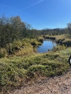 /international/us/wick-road-saginaw-mn-110109157246/