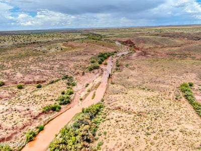 /international/us/tbd-pozo-oro-ranches-woodruff-az-110094009390/