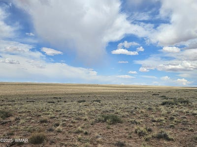 /international/us/tbd-s-tovar-avenue-holbrook-az-110077698459/