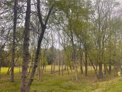 /international/us/8xx-207th-street-osceola-wi-110107193622/