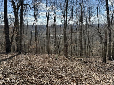 /international/us/highland-trace-lot-41-rd-sharps-chapel-tn-110097104849/