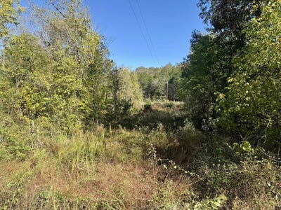 /international/us/4-5a-honeysuckle-lane-franklin-ar-110103144803/