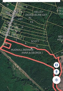 /international/us/1180-white-chapel-road-lively-va-110105644854/