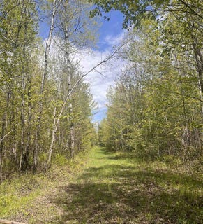 /international/us/80-acres-clausen-road-prentice-wi-110108258154/