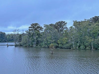 /international/us/hwy-45n-plymouth-nc-110108609609/