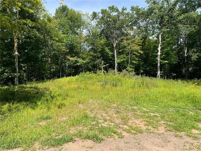 /international/us/lot-6-186th-avenue-milltown-wi-110100129905/?lang=zh-tw