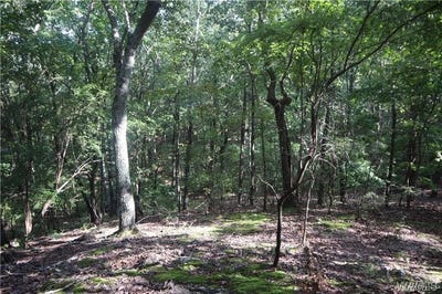 /international/us/oak-ridge-road-fayette-al-110105343831/