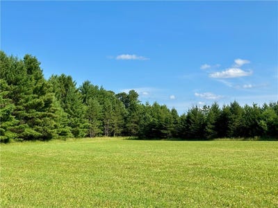 /international/us/20-acres-w-poertner-road-neillsville-wi-110101266194/?lang=en