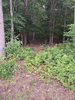 /international/us/pitts-creek-rd-lot-34-new-church-va-110099678216/