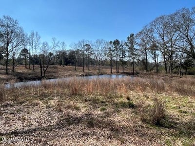 /international/us/sawmill-road-sandy-hook-ms-110105397139/