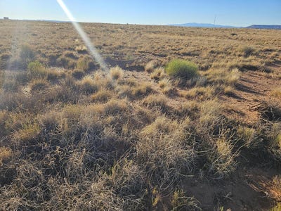 /international/us/vl-144-fruta-road-unit-5-laguna-nm-110073313974/?lang=zh-tw