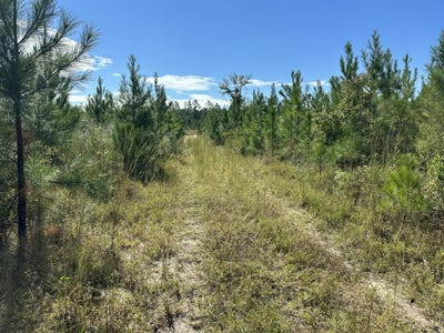 /international/us/parcel-b-millside-road-laurel-hill-fl-110102452353/