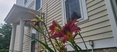 /international/us/506-w-iowa-street-monona-ia-110101178323/?lang=fr