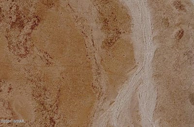 /international/us/holbrook-az-110106147629/