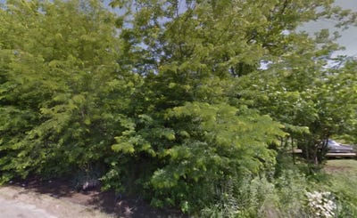 /international/us/904-elk-street-dermott-ar-110103418814/