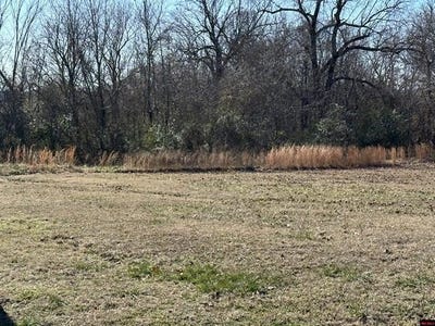 /international/us/9th-street-lot-1657-1660-cotter-ar-110119958270/