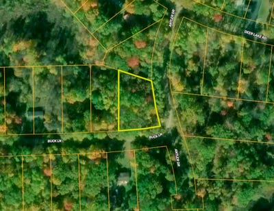 /international/us/buck-lane-lot-60-harrison-mi-110108664296/