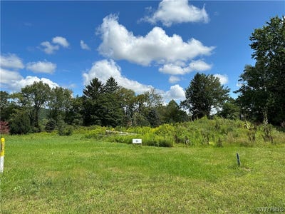 /international/us/lot-11-tanglewood-development-allegany-ny-110081514629/?lang=zh-tw