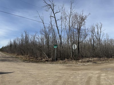 /international/us/0-37-acres-dekruif-road-levering-mi-110107611860/