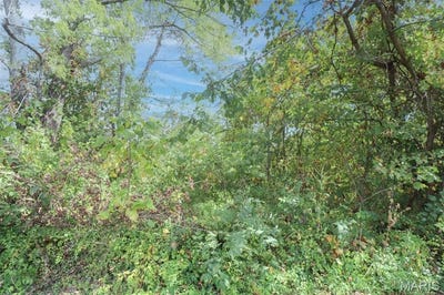 /international/us/501-w-5th-street-dixon-mo-110102387174/