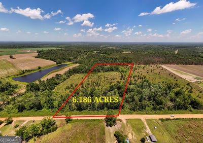/international/us/lot-2-6-2-ac-perry-horton-adrian-ga-110100046295/