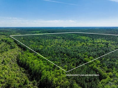 /international/us/165-acres-harrison-rd-kinston-al-110107264456/
