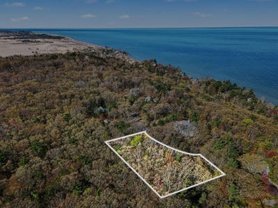 /international/us/n-silver-ridge-road-mears-mi-110108145320/