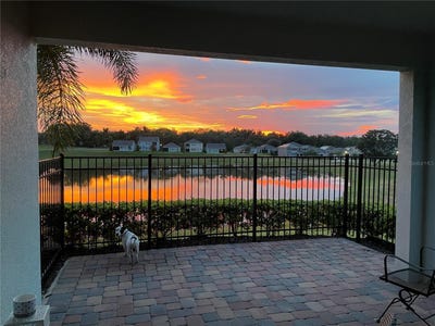 /international/us/770-hull-island-drive-oakland-fl-110101127961/?lang=en