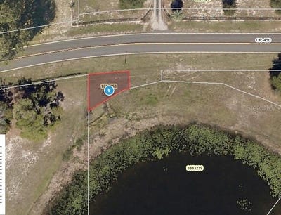 /international/us/county-road-450-umatilla-fl-110110240375/