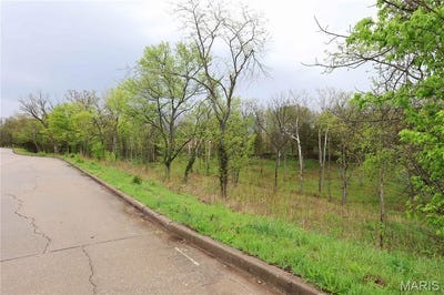 /international/us/lot-12-13-14-dorothy-dr-perryville-mo-110107260921/