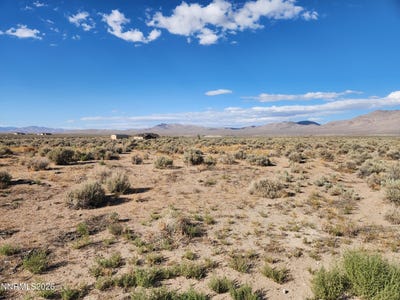 /international/us/250-finch-place-smith-nv-110110277246/