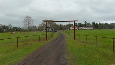 /international/us/15350-bailey-branch-road-danville-ar-110106556902/