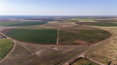 /international/us/cr-133-cr-133-seagraves-tx-110101519006/