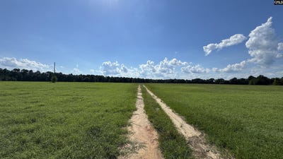 /international/us/830-iw-hutto-road-swansea-sc-110101253835/?lang=zh-tw