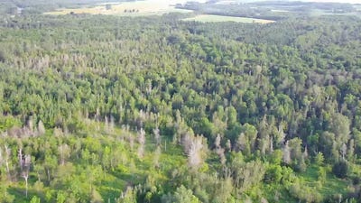 /international/us/297-washburn-road-presque-isle-me-110100757068/?lang=zh-tw