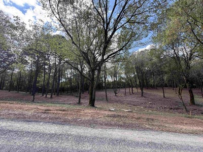 /international/us/258-co-rd-1123-vinemont-al-110102853614/