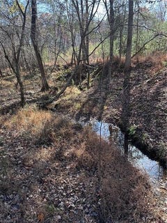 /international/us/5-stephens-trail-road-sandy-ridge-nc-110103504696/