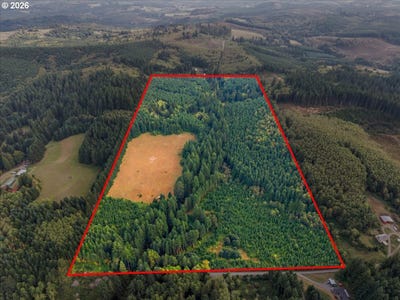/international/us/71990-hutchinson-rd-rainier-or-110110327887/
