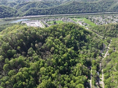 /international/us/burning-springs-road-belle-wv-110120528814/