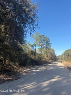 /international/us/zzz-nettles-drive-florahome-fl-110105356953/
