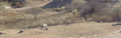 /international/us/104-w-jones-avenue-mammoth-az-110096472320/