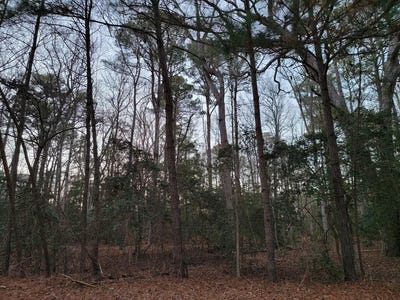 /international/us/wilsonia-shores-dr-lot-7a1-machipongo-va-110105902272/